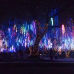 2014 Ayala Lights and Sounds Show