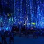 2014 Ayala Lights and Sounds Show