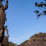 Caramoan: Island Hopping – Minalahos