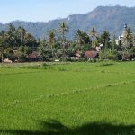 View from Manohara Hotel near Borobudur temple in Indonesia