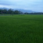 View from Rajasa Hotel near Borobudur temple in Indonesia