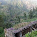 Village near Yoschi's Hotel near Mt. Bromo in Indonesia
