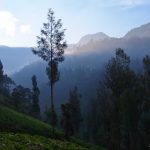 Village near Yoschi's Hotel near Mt. Bromo in Indonesia