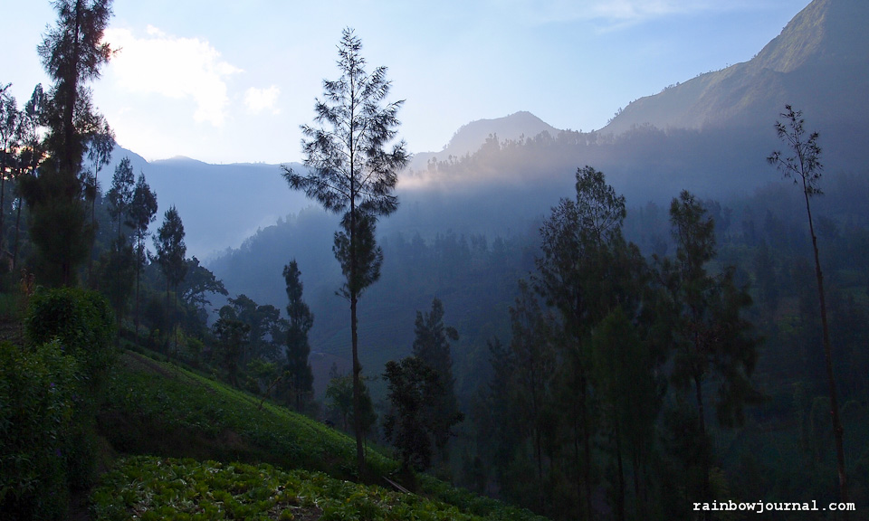 Village near Yoschi's Hotel near Mt. Bromo in Indonesia