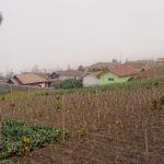 Village near Yoschi's Hotel near Mt. Bromo in Indonesia