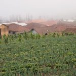 Village near Yoschi's Hotel near Mt. Bromo in Indonesia