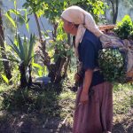 Village near Yoschi's Hotel near Mt. Bromo in Indonesia