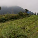 Cemoro Lawang to Bromo, Indonesia