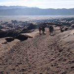 Crossing the Sea of Sands, Mt. Bromo Sunrise Tour, Indonesia
