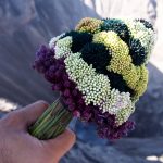Mt. Bromo's crater in Indonesia