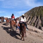 Climbing to the crater of Mt. Bromo in Indonesia