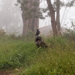 Trek to Kawah Ijen in Indonesia