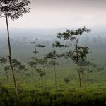 Getting there, Mt. Ijen in Indonesia