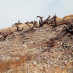 Kawah Ijen in Indonesia