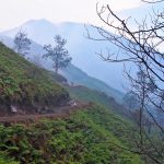 Trek to Kawah Ijen in Indonesia