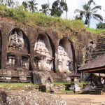 These candis reach up tp 23 feet.