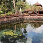 Another natural spring inside Tirta Empul.