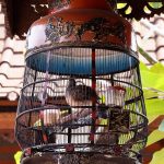 Eat, Pray, ...Walk: Roaming the Streets of Ubud on Foot