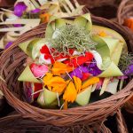 Eat, Pray, ...Walk: Roaming the Streets of Ubud on Foot