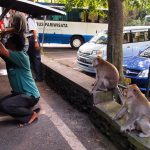 Eat, Pray, ...Walk: Roaming the Streets of Ubud on Foot