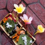 Eat, Pray, ...Walk: Roaming the Streets of Ubud on Foot