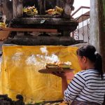 Eat, Pray, ...Walk: Roaming the Streets of Ubud on Foot