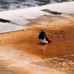 Kuta Beach, Getting There and Accommodations