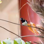 Kuta Beach, Getting There and Accommodations