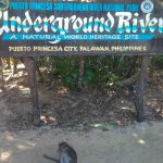 Puerto Princesa Underground River Tour - Surrounding area