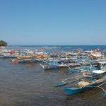 Puerto Princesa Underground River Tour - Port