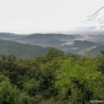 Mount Purro Nature Reserve - Mt Malvar hike