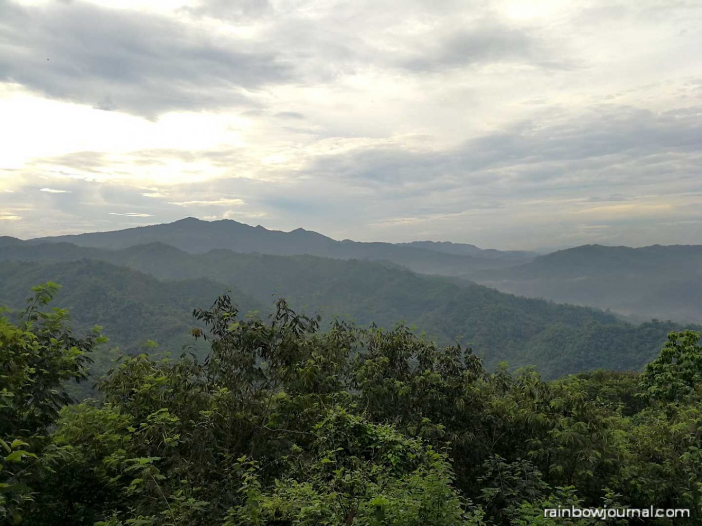 Mount Purro Nature Reserve - Mt Malvar hike