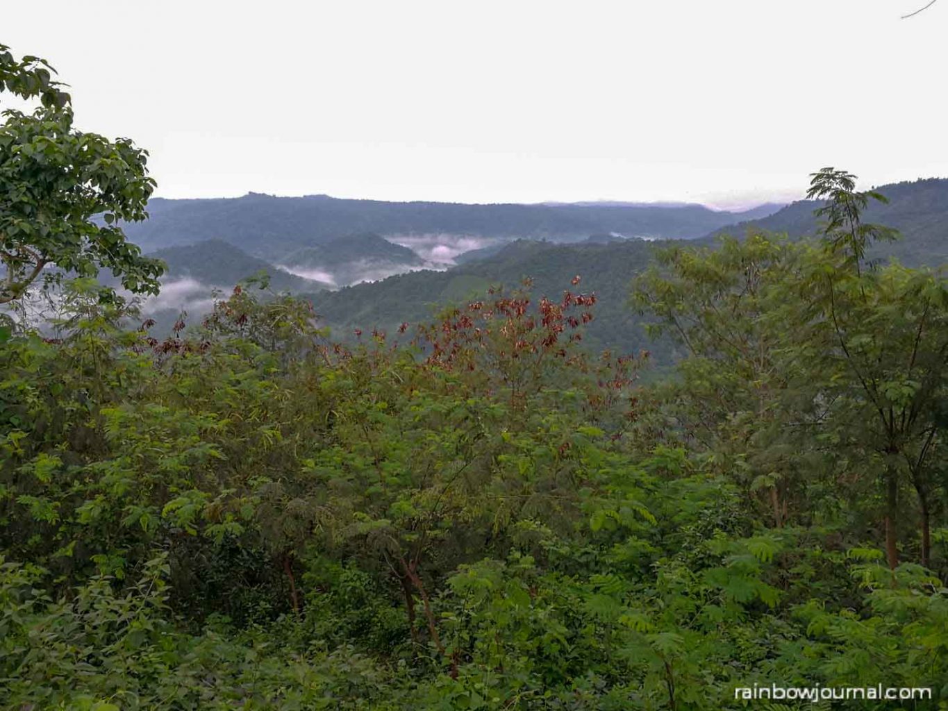 Mount Purro Nature Reserve - Mt Malvar hike