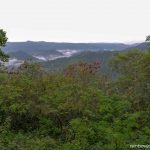 Mount Purro Nature Reserve - Mt Malvar hike