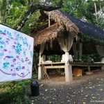 Mount Purro Nature Reserve - Bonfire Area