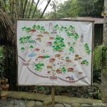 Mount Purro Nature Reserve - Map