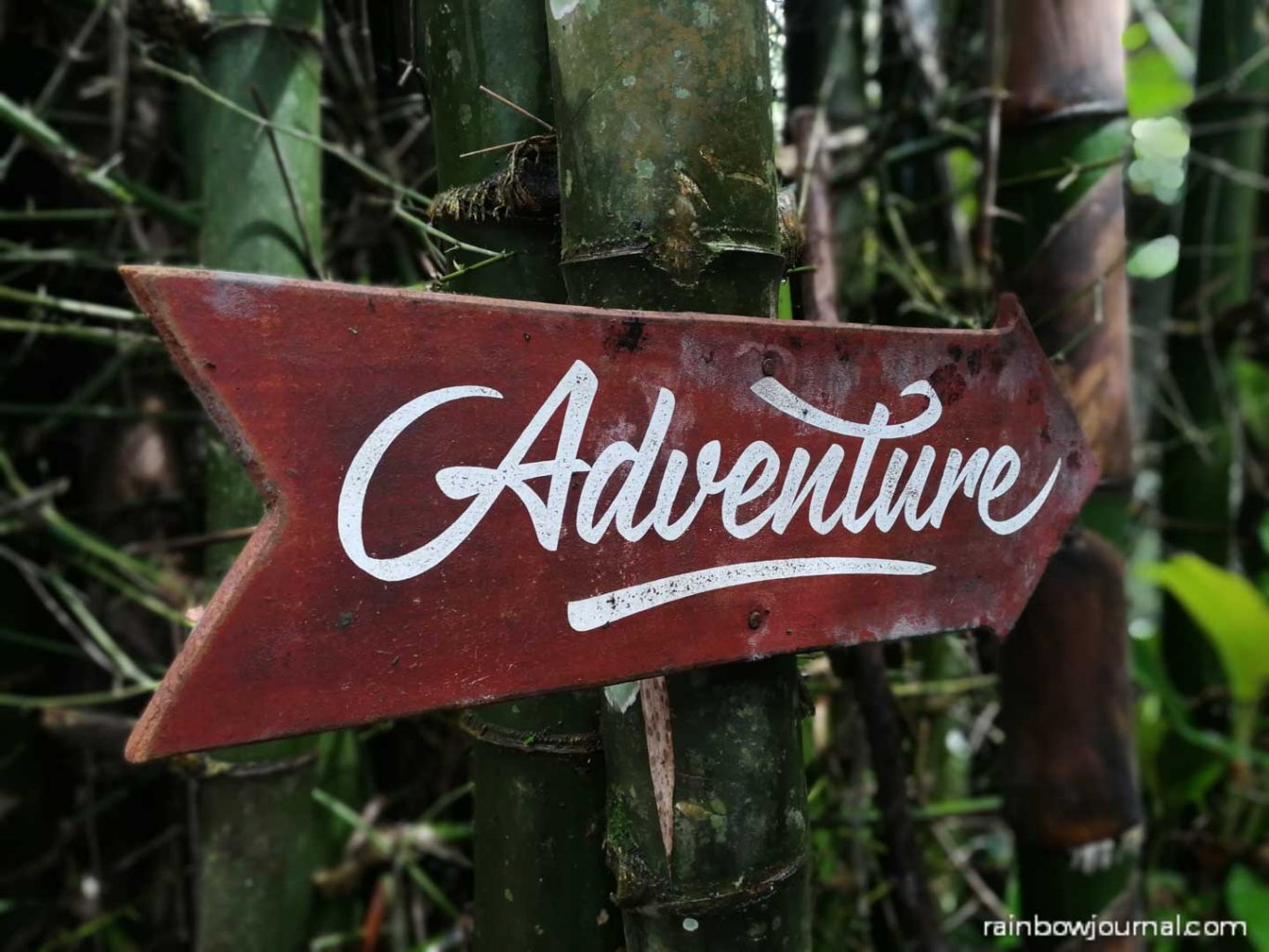 Mount Purro Nature Reserve - Mt Malvar hike