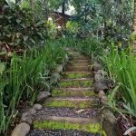 Mount Purro Nature Reserv