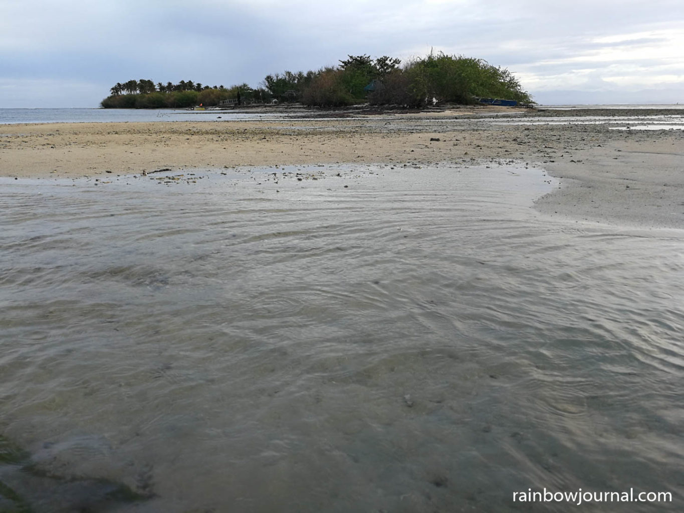The western beach of Tandoyong island is littered with sea urchins