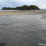 The western beach of Tandoyong island is littered with sea urchins