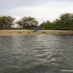 We saw so many marine life along the beach of Tandoyong Island
