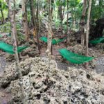 Great place to take a nap while at Enchanted Cave Resort, don't you think?