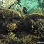 Rock formations inside the cave pool at Enchanted Cave Resort Bolinao