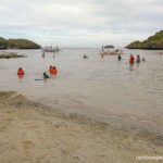 The shallow beach at Children's Island is perfect for kids