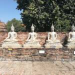 Wat Yai Chai Mongkhol's main temple is surrounded by statues of Buddha