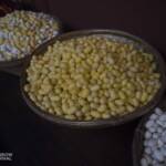 Silk worm cocoons