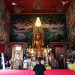 Woman kneeling in front of an altar with a Golden Budha