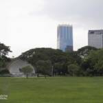 Green park with buildings in the background