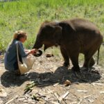 a woman sitting in front of a baby elephant, while touching its trunk