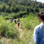 group of people walking along a path following an elephant